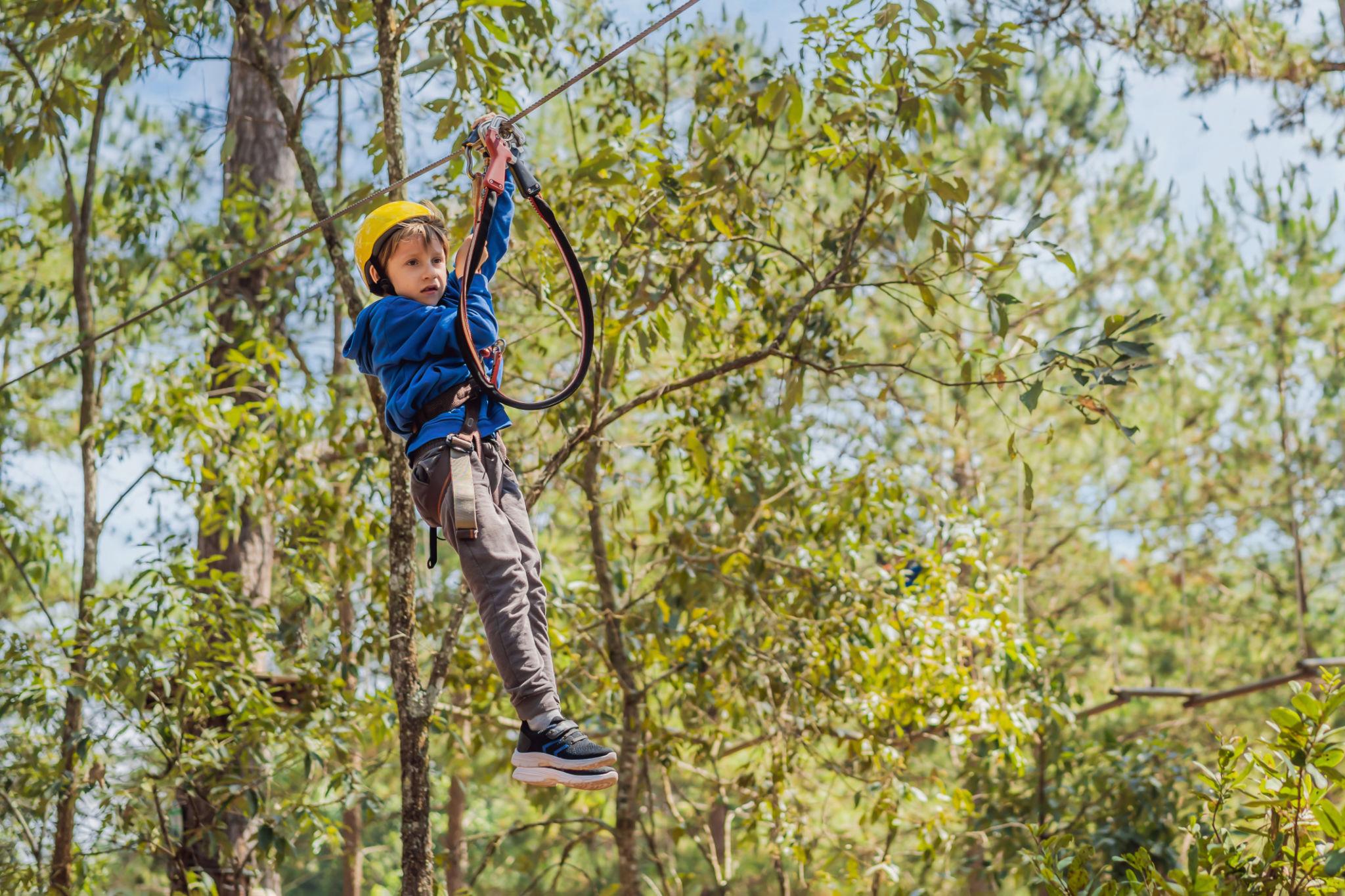 Zip Line